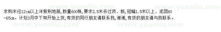 求購求購米徑12cm以上洋紫荊地苗