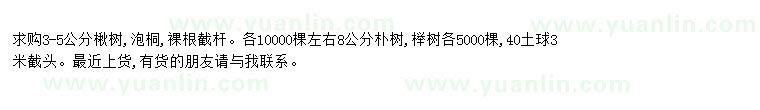 求購求購楸樹、泡桐、樸樹、櫸樹