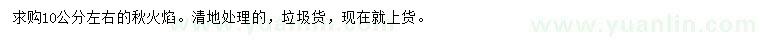 求購10公分左右秋火焰