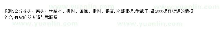 求購求購3公分榆樹、欒樹、絲綿木、柳樹、國槐、楸樹、銀杏