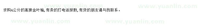 求購求購4公分高接金葉榆