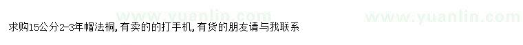 求購求購15公分2-3年帽法桐