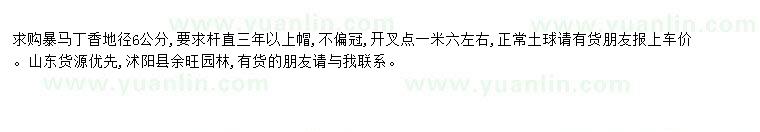 求購(gòu)求購(gòu)暴馬丁香地徑6公分
