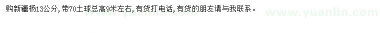 求購(gòu)13公分新疆楊