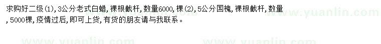 求購3公分老式白蠟、5公分國槐