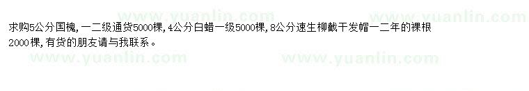 求購求購國槐、白蠟、速生柳截