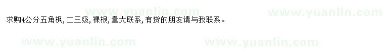 求購(gòu)求購(gòu)4公分五角楓