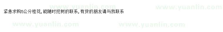 求購(gòu)求購(gòu)5公分桂花