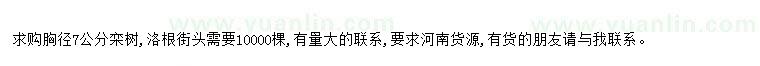 求購(gòu)求購(gòu)胸徑7公分欒樹(shù)