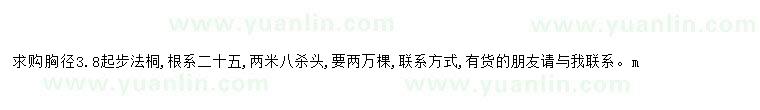 求購胸徑3.8起步法桐