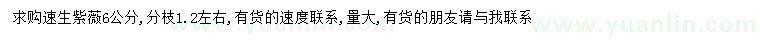 求購6公分速生紫薇