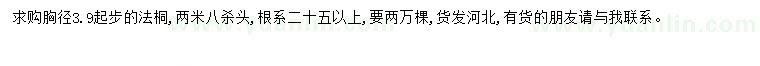 求購求購胸徑3.9起步法桐