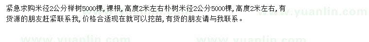 求購(gòu)櫸樹(shù)、樸樹(shù)