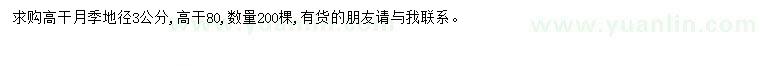 求購地徑3公分高干月季
