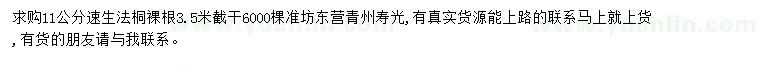 求購11公分速生法桐