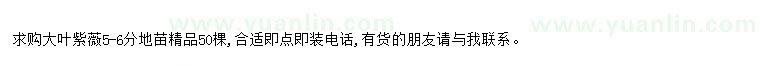 求購(gòu)求購(gòu)大葉紫薇5-6分地苗精品50棵