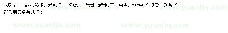 求購6公分榆樹