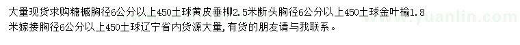 求購(gòu)糖槭、黃皮垂柳、金葉榆