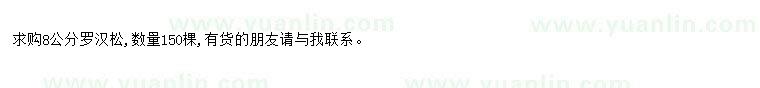 求購求購8公分羅漢松