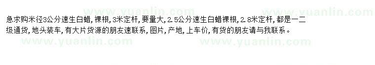 求購求購米徑3公分2.5公分速生白蠟