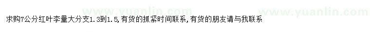 求購求購7公分紅葉李