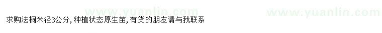 求購(gòu)求購(gòu)法桐米徑3公分
