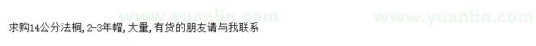 求購求購14公分法桐