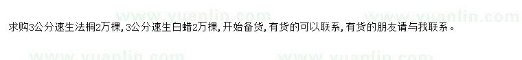 求購求購3公分速生法桐2萬(wàn)棵