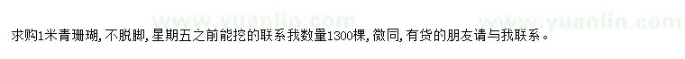 求購求購1米青珊瑚