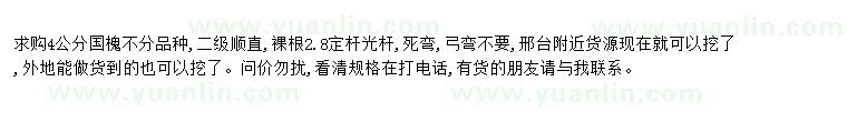 求購求購4公分國槐