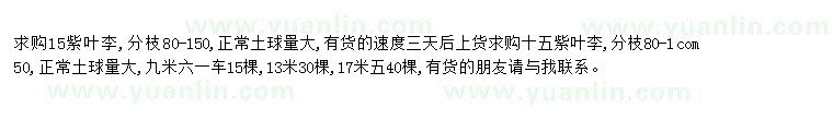 求購求購15紫葉李