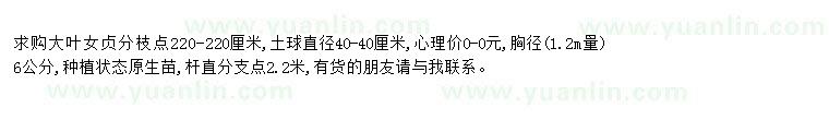 求購求購大葉女貞胸徑6公分