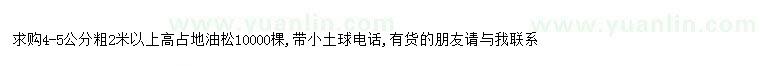 求購(gòu)求購(gòu)4-5公分占地油松