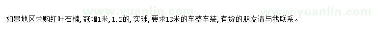 求購求購紅葉石楠冠幅1米