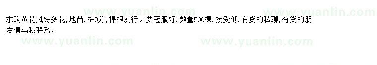 求購(gòu)求購(gòu)黃花風(fēng)鈴多花地苗5-9分