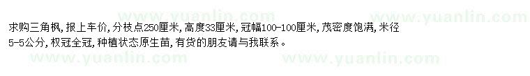 求購求購三角楓米徑5公分