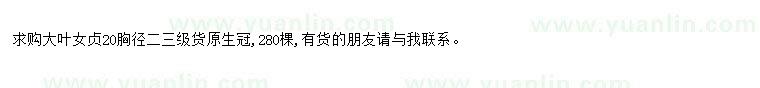 求購求購大葉女貞20胸徑