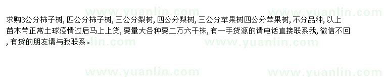 求購求購柿子樹、梨樹、蘋果樹