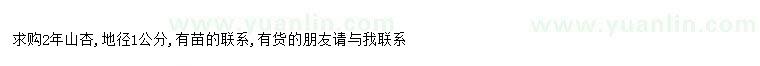 求購求購2年山杏