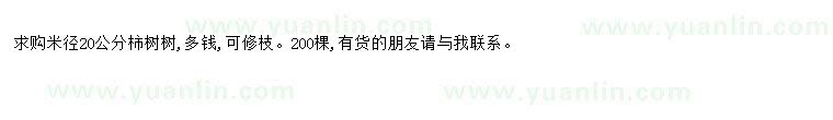 求購求購米徑20公分柿樹(shù)樹(shù)