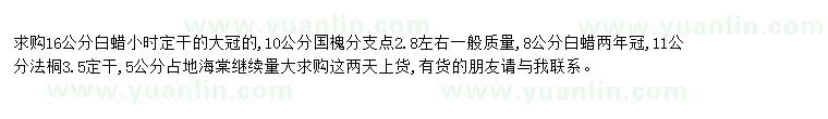 求購求購16公分白蠟小時(shí)定干大冠