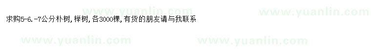 求購求購5-6.-7公分樸樹(shù)