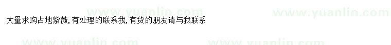 求購求購占地紫薇