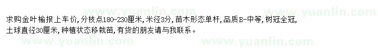 求購求購金葉榆米徑3公分
