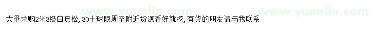 求購求購2米3級白皮松