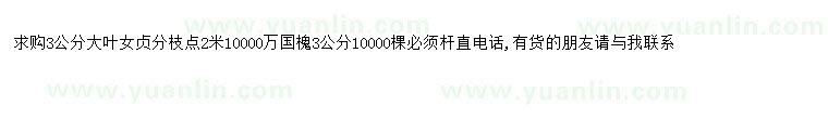 求購求購大葉女貞、國槐、