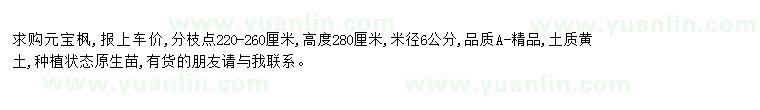 求購求購元寶楓米徑6公分