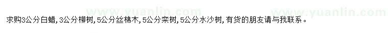求購(gòu)求購(gòu)白蠟、柳樹(shù)、絲棉木