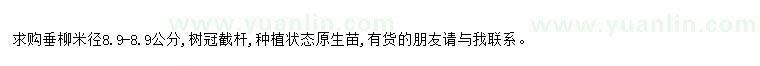 求購求購垂柳米徑8.9公分