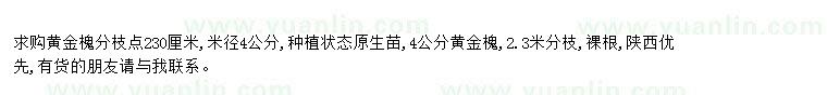求購求購黃金槐米徑4公分